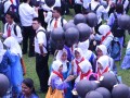 Tn 293 DSC 0370